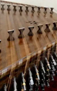 سنتور موسوی تک‌مهر ویژه