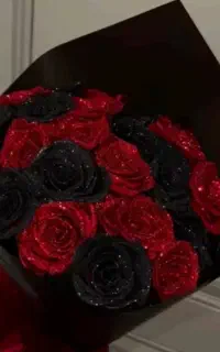 روبانی رز