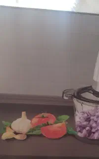 خردکن حرفه ای خارجی