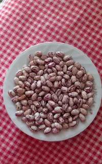 لوبیا چیتی درجه یک ارگانیک