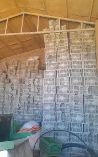 جعبه پلاستیکی