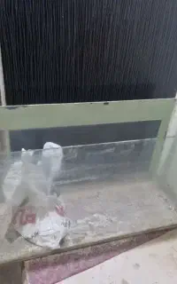 اکواریوم
