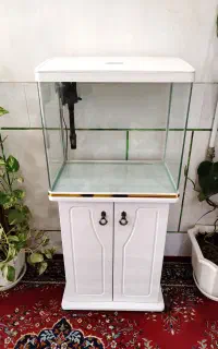 آکواریوم شرکتی دلسا K500 با پایه، درحد آک