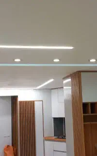 برقکار حرفه‌ای