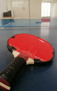 میز پینگ پنگ معمولی