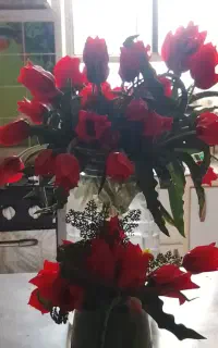 کراویه فروشی