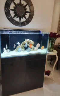 اکواریوم ۱۰۰ در ۵۰ در ۵۰