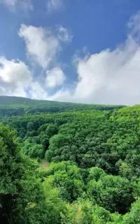 تور کلیبر