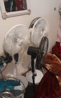 پنکه ایستاده