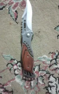 کبوتر نرو ماده