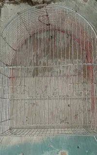 فروش قفس پرنده