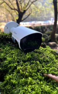 دوربین و دزدگیرمداربسته