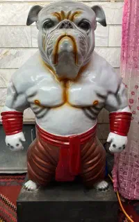 مجسمه سگ برای ویترین مغازه