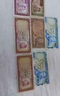 پول شاهی