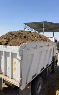 کود گاوی درجه یک