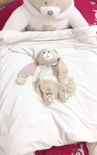 تشک گارددار