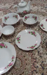 سرویس گل سرخی بدون لب پریدگی و در حد نو