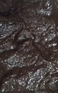 رب الوچه خانگی