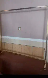 رگال زمینی