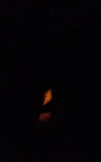 فروش خط موبایل