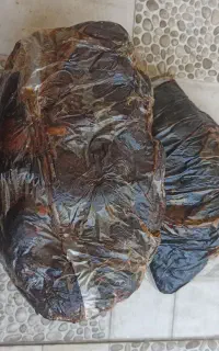 خرما کبکاب