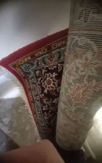 قالی نگین مشهد