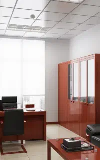 منشی خانم (دستیار)