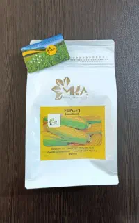 بذر ذرت سوپرشیرین ERIS (زودرس)