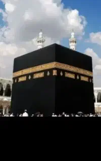 فروش فیش حج واجب دو عدد