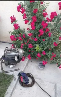 لوله بازکنی شمال تهران(تضمینی بافاکتور)شبانه روزی