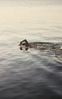 آموزش شنا