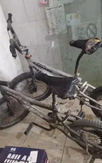دو عدد بیست حرفه ای