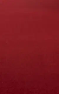 فروش فوری موکت