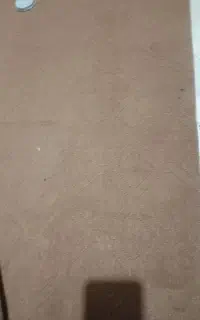 موکت درحد نو