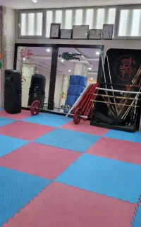 باشگاه رزمی