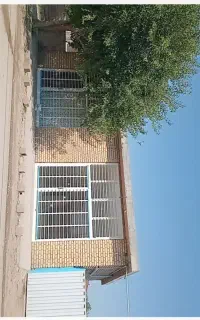 مغازه