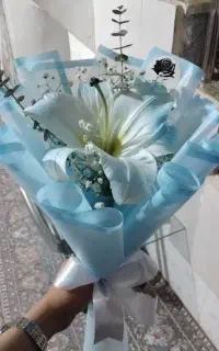 گل لیلیوم تک شاخه