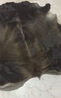 چرم گاو دباغی شده