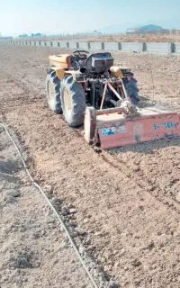 شخم ز ن تراکتور باغی