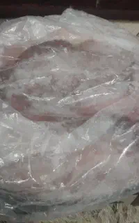 ماهی قزل آلا تازه