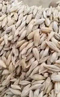 جوابی درج یک