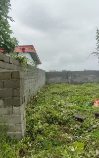 علف زنی باغ و زمین