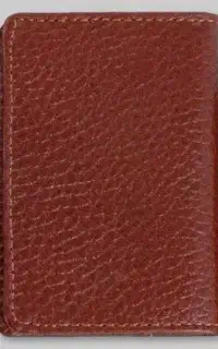 پیدا شده