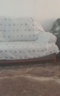 نظافت منزل