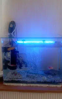 آگواریوم همراه وسایل