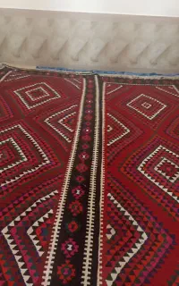 پالاز و موکت