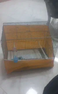 قفس پرنده