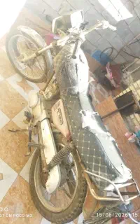 شادگان