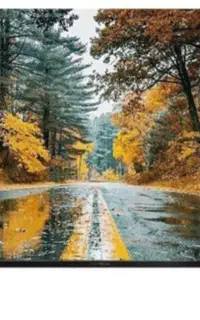 تی وی ۵۵ دوو ال ای دی