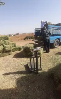 پرس یونجه خشک بدون علف
